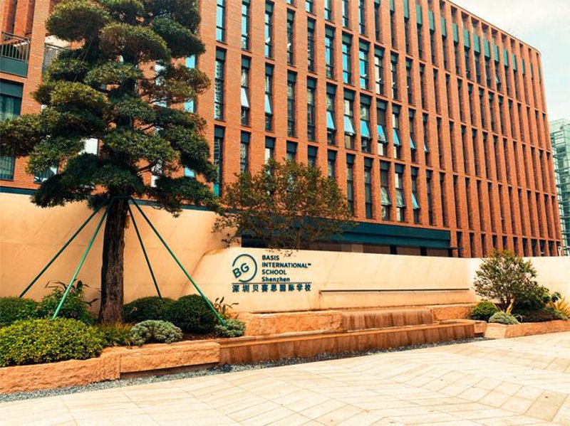 国际高中课程：面向未来的教育选择